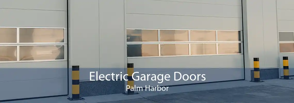 Electric Garage Doors Palm Harbor