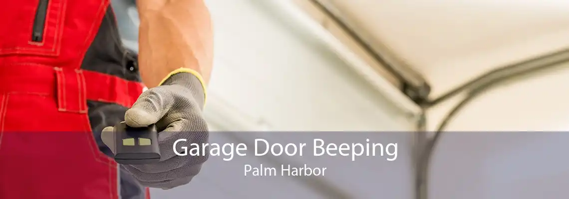 Garage Door Beeping Palm Harbor