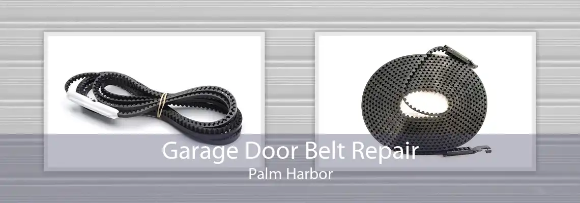 Garage Door Belt Repair Palm Harbor