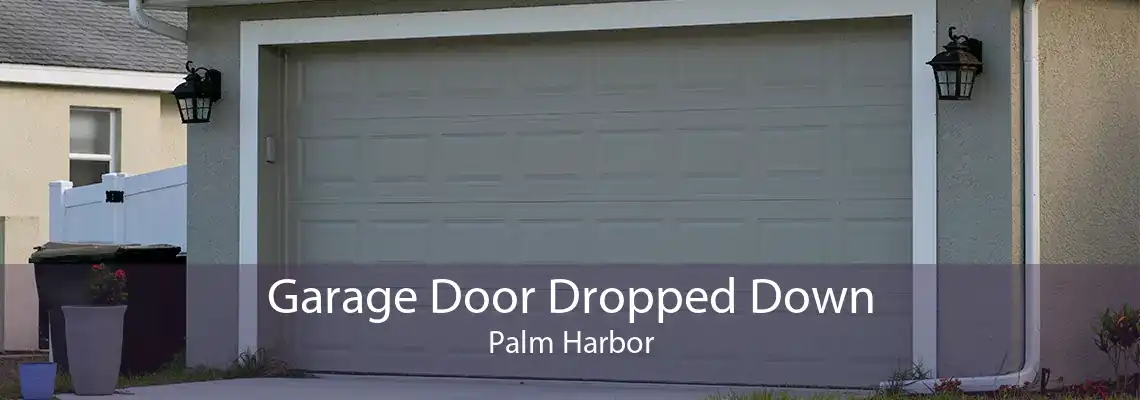 Garage Door Dropped Down Palm Harbor