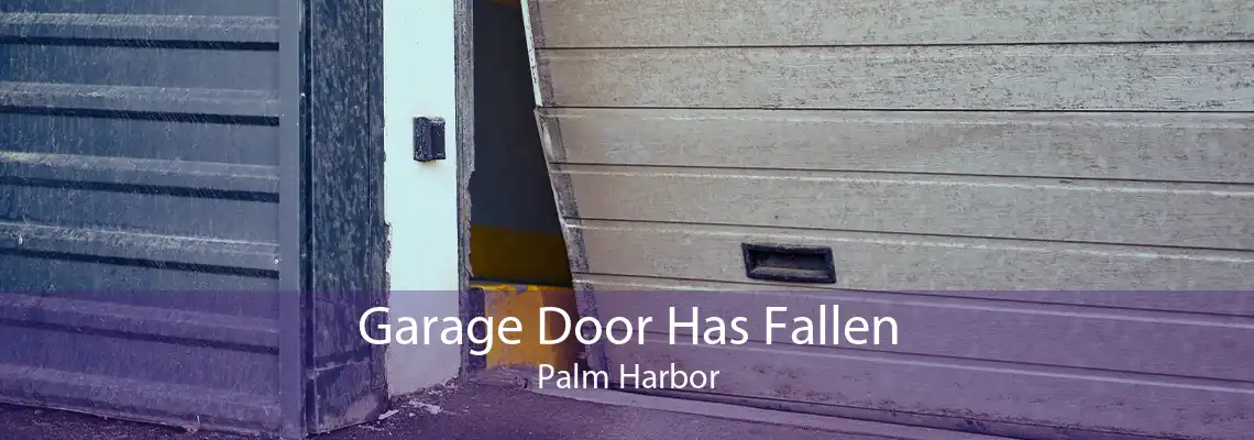 Garage Door Has Fallen Palm Harbor