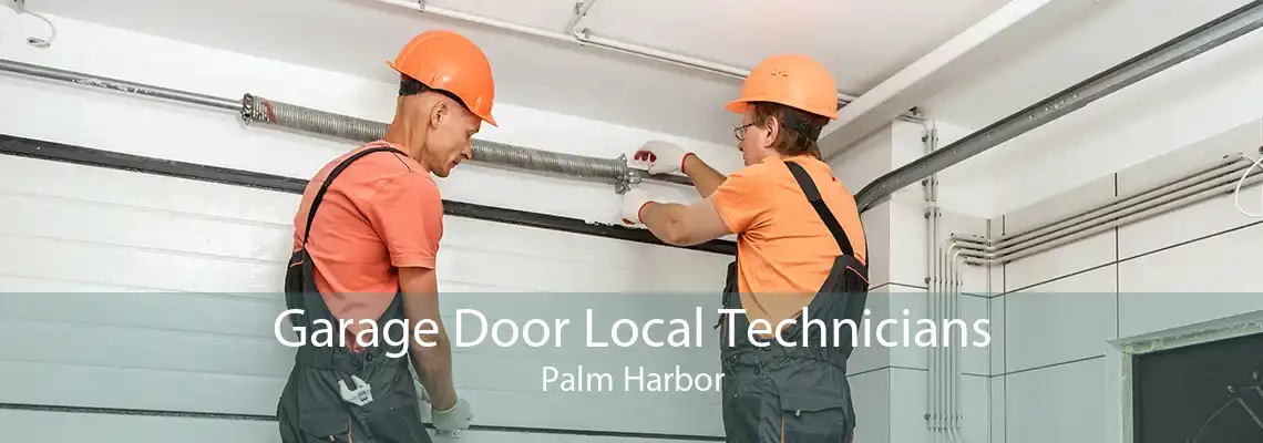 Garage Door Local Technicians Palm Harbor