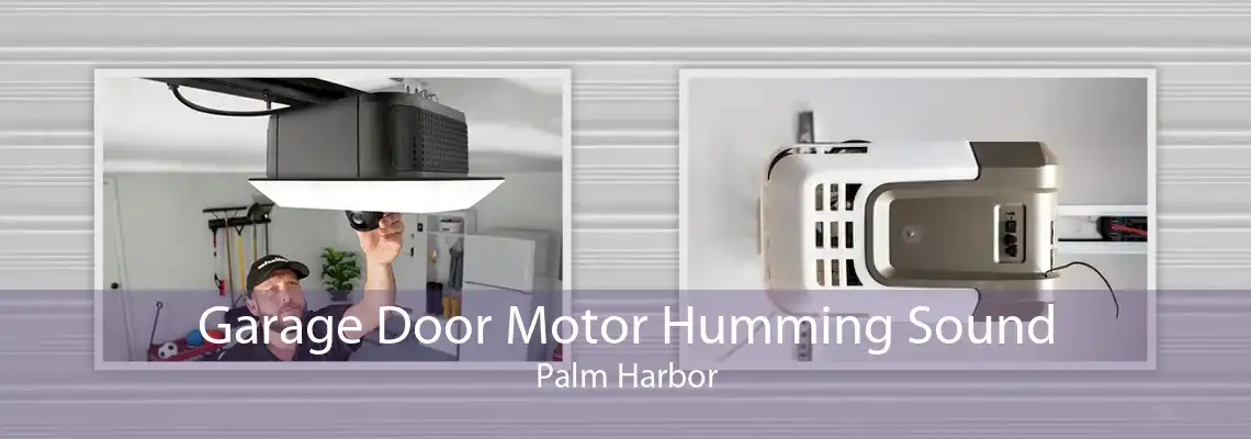 Garage Door Motor Humming Sound Palm Harbor