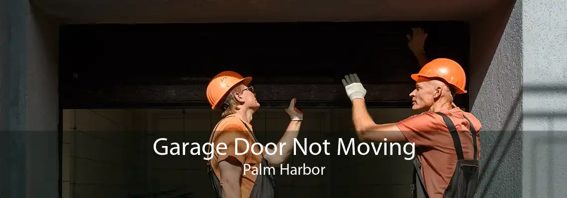 Garage Door Not Moving Palm Harbor