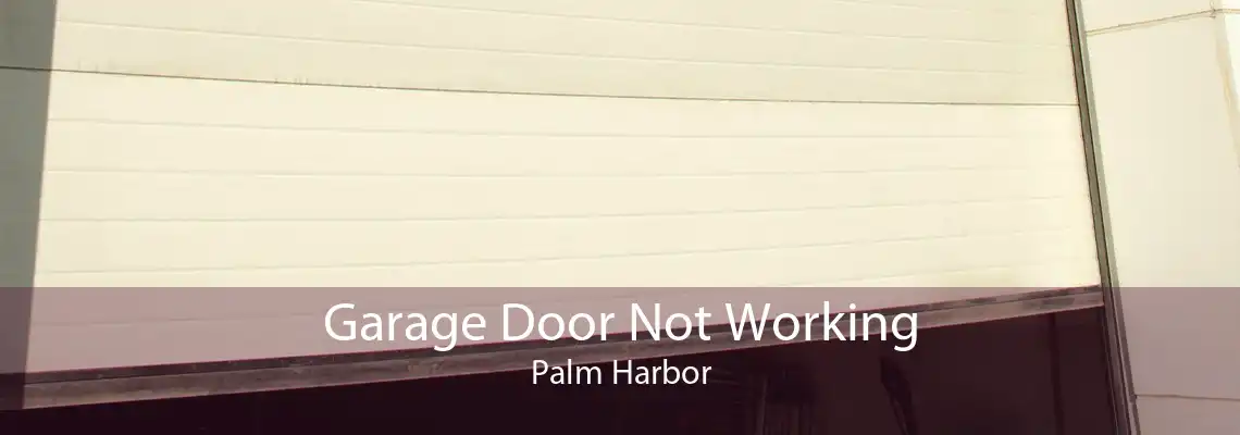 Garage Door Not Working Palm Harbor