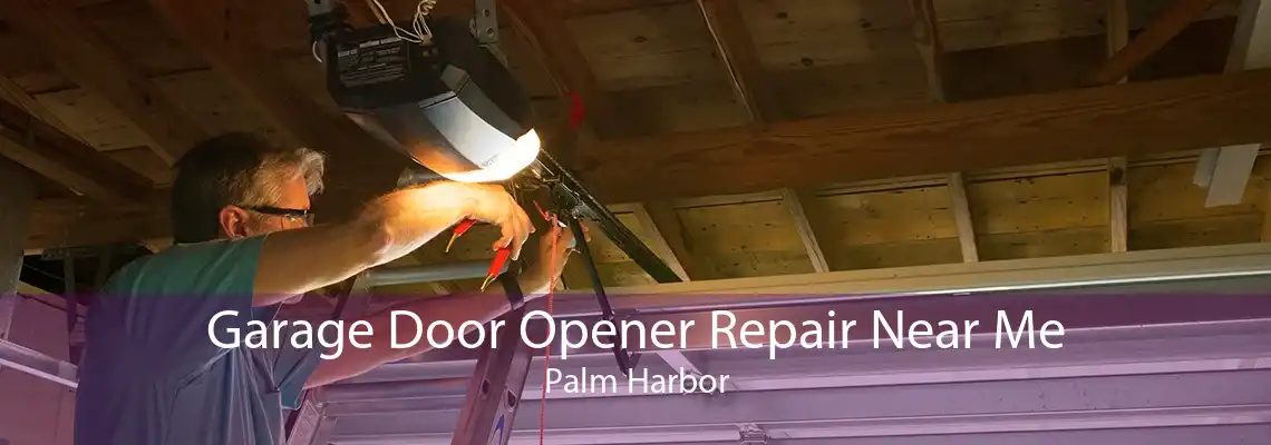 Garage Door Opener Repair Near Me Palm Harbor