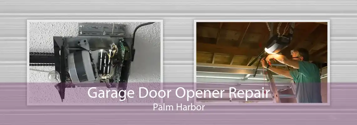 Garage Door Opener Repair Palm Harbor