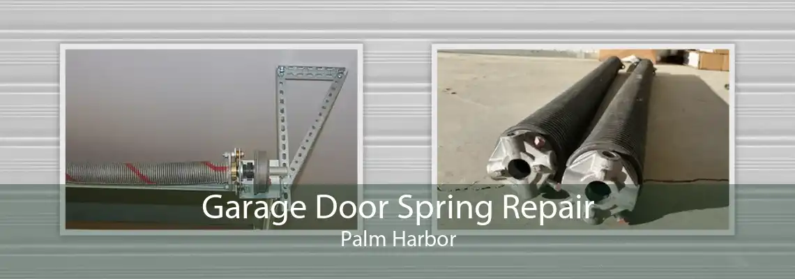 Garage Door Spring Repair Palm Harbor