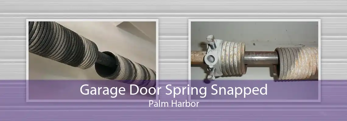 Garage Door Spring Snapped Palm Harbor