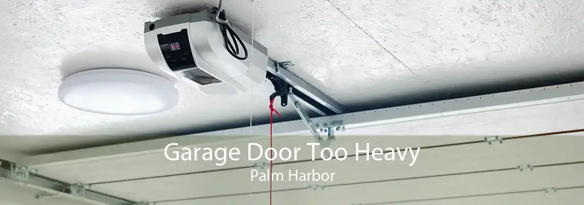 Garage Door Too Heavy Palm Harbor