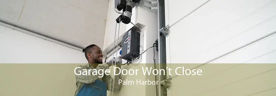 Garage Door Won't Close Palm Harbor
