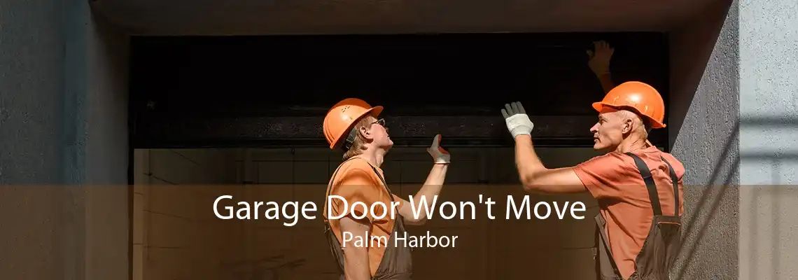 Garage Door Won't Move Palm Harbor