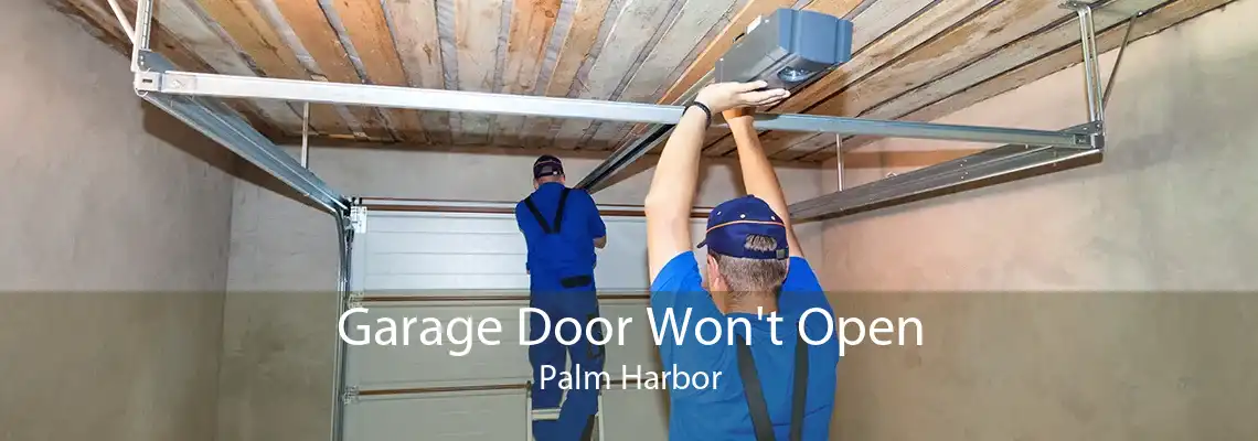 Garage Door Won't Open Palm Harbor