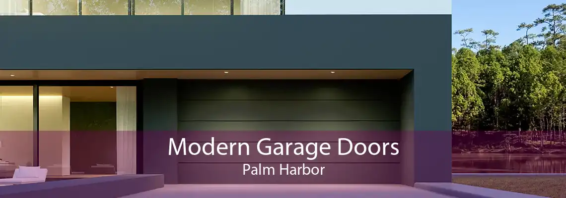 Modern Garage Doors Palm Harbor