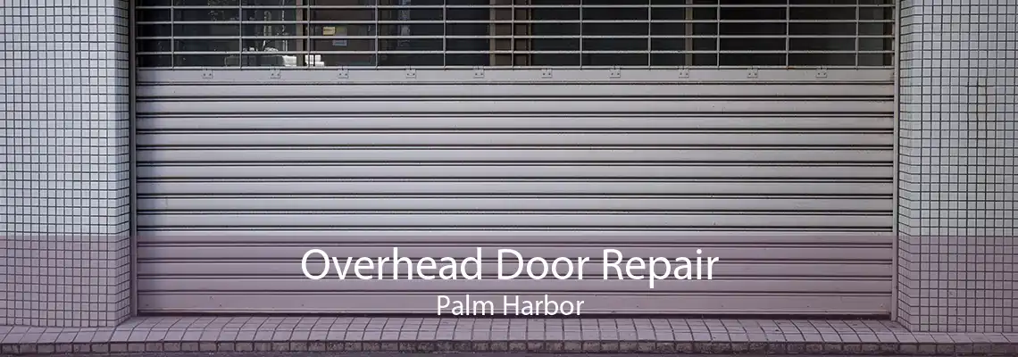Overhead Door Repair Palm Harbor