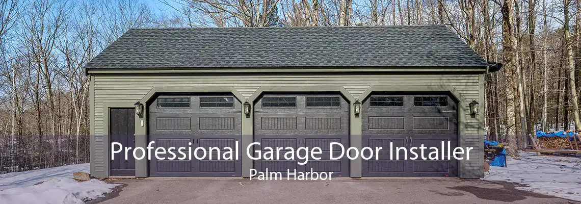 Professional Garage Door Installer Palm Harbor
