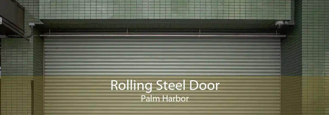 Rolling Steel Door Palm Harbor