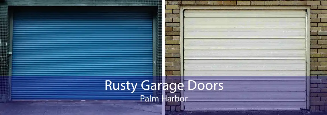 Rusty Garage Doors Palm Harbor