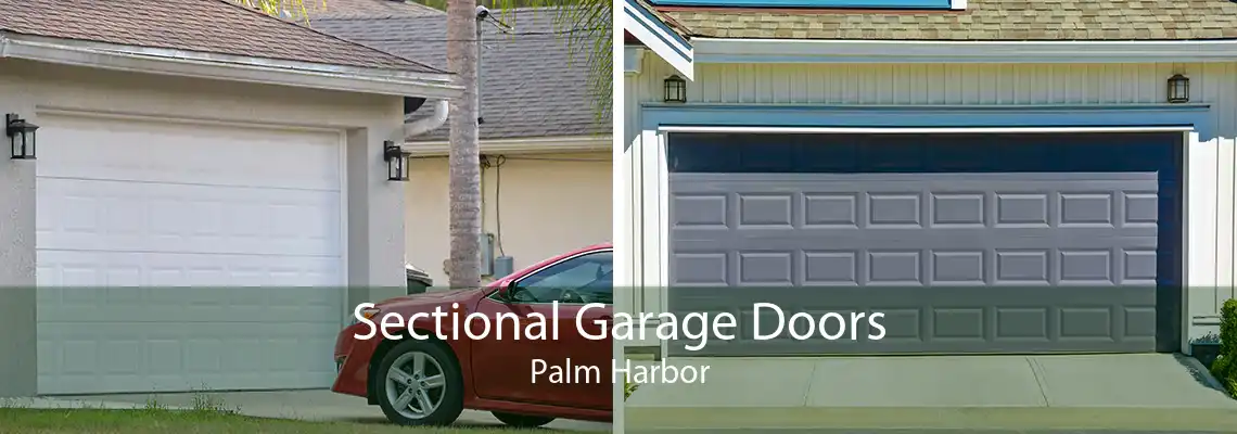 Sectional Garage Doors Palm Harbor